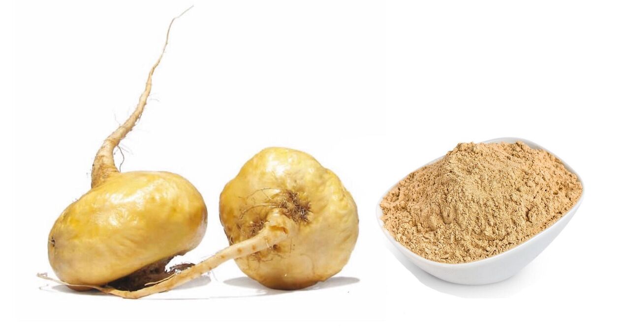 Maca péruvienne dans le produit
